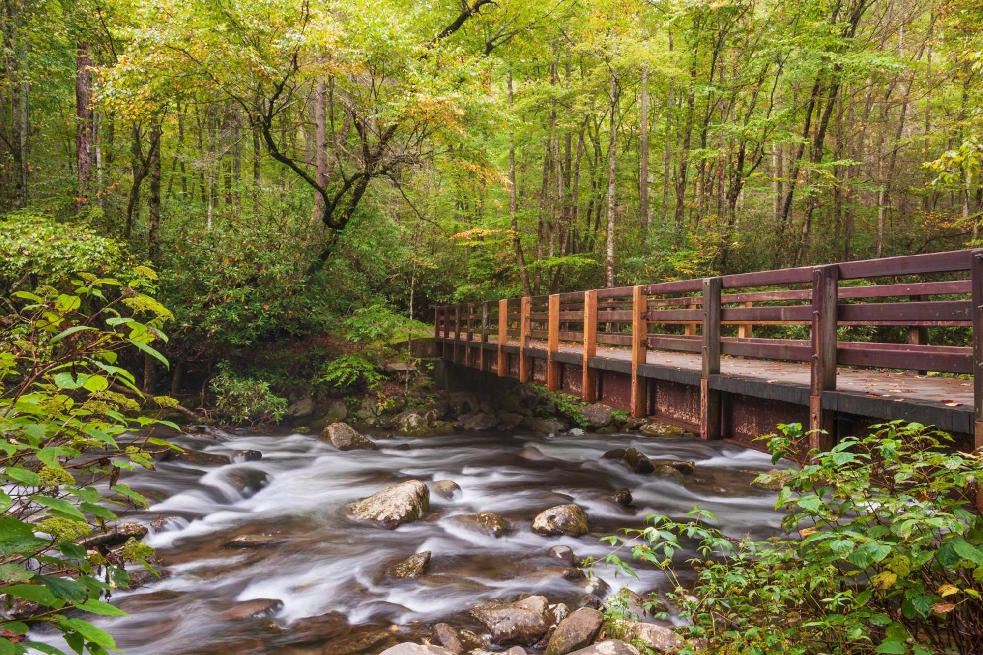 The Nut House, Hot Tub, Game Room, Wifi, 1089 Free Tickets Each Paid Day, Dollywood And More! Pigeon Forge Exteriér fotografie